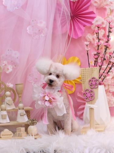 20250313あんちゃん